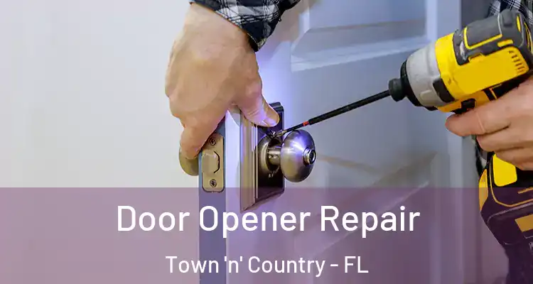  Door Opener Repair Town 'n' Country - FL