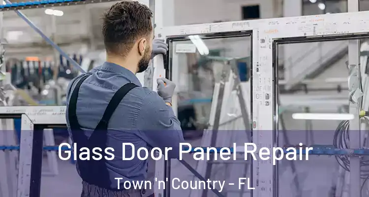  Glass Door Panel Repair Town 'n' Country - FL
