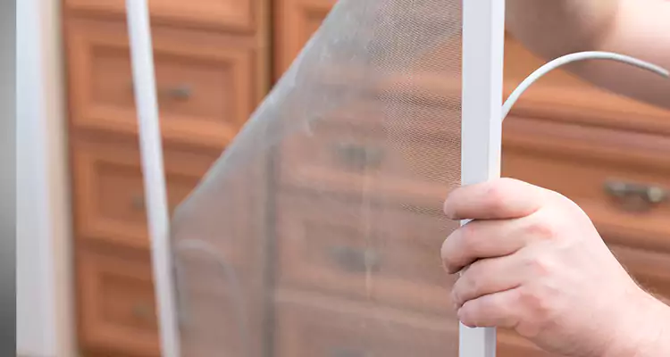 Privacy Mesh Screen Door Installation in Town 'n' Country, FL