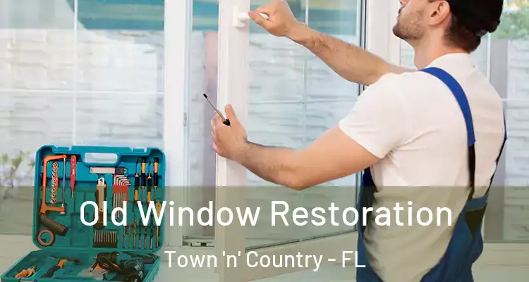  Old Window Restoration Town 'n' Country - FL