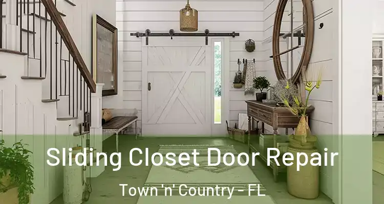  Sliding Closet Door Repair Town 'n' Country - FL