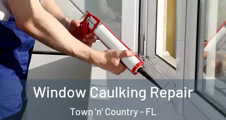  Window Caulking Repair Town 'n' Country - FL
